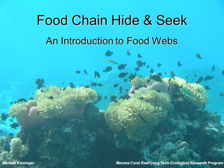 Food Chain Hide & Seek An Introduction to Food Webs Moorea Coral Reef Long Term Ecological Research ProgramMichele Kissinger.