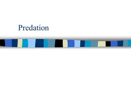 Predation. Hypotheses for Patterns of Diversity n Evolutionary Time n Ecological Time n Primary Production n Stability of Primary Production n Structural.