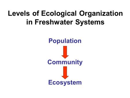 Levels of Ecological Organization in Freshwater Systems Population Community Ecosystem.