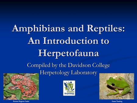 Amphibians and Reptiles: An Introduction to Herpetofauna