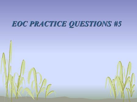 EOC PRACTICE QUESTIONS #5