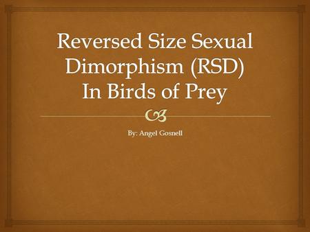 By: Angel Gosnell.   Reverse of the norm  In normal size dimorphism, males are typically larger than females due to intrasexual selective pressures.