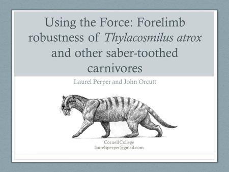 Using the Force: Forelimb robustness of Thylacosmilus atrox and other saber-toothed carnivores Laurel Perper and John Orcutt Cornell College