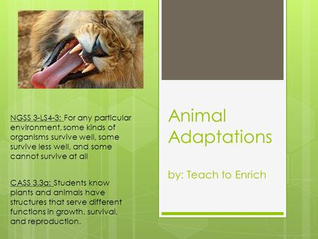 Animal Adaptations by: Teach to Enrich NGSS 3-LS4-3: For any particular environment, some kinds of organisms survive well, some survive less well, and.