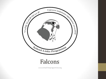 Falcons www.schoollinksprogramme.org. A falcon is a bird A bird has light, hollow bones No teeth and use their beaks to break up food Feathers insulate.