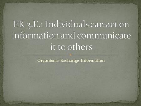 Organisms Exchange Information. Flight or Flight Response Watch this...http://youtu.be/Ry P8L3qTW9Qhttp://youtu.be/Ry P8L3qTW9Q.