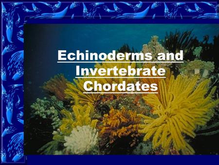 Echinoderms and Invertebrate Chordates