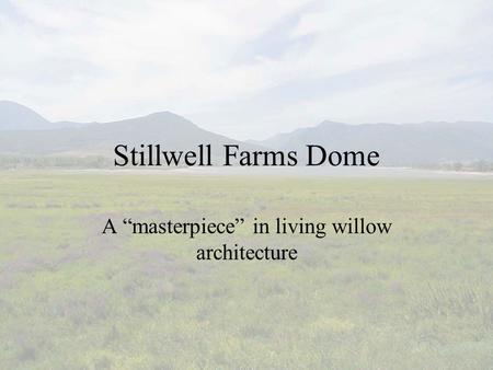 Stillwell Farms Dome A “masterpiece” in living willow architecture.