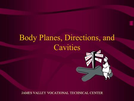 Body Planes, Directions, and Cavities