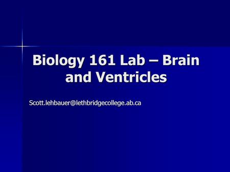 Biology 161 Lab – Brain and Ventricles