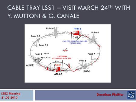 CABLE TRAY LSS1 – VISIT MARCH 24 TH WITH Y. MUTTONI & G. CANALE Dorothea Pfeiffer LTEX Meeting 21.03.2013.