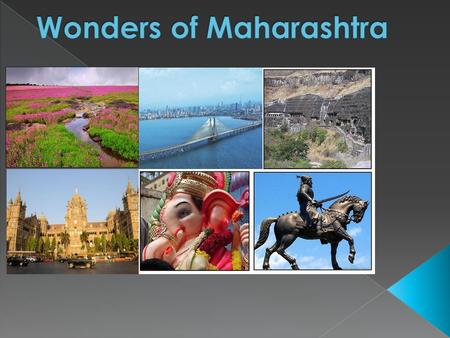  Maharashtra a state in the western region of India.  It is the second most populous state after Uttar Pradesh and third largest state by area in India.