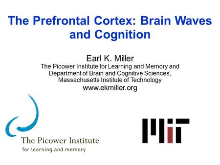 The Prefrontal Cortex: Brain Waves and Cognition Earl K. Miller The Picower Institute for Learning and Memory and Department of Brain and Cognitive Sciences,