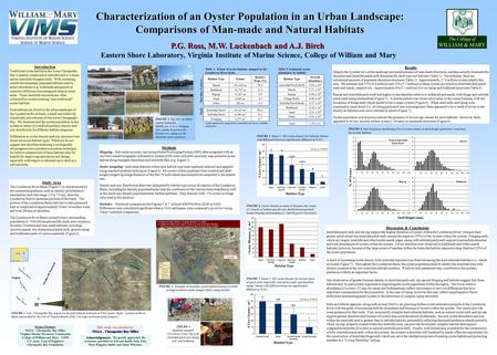 The College of WILLIAM & MARY P.G. Ross, M.W. Luckenbach and A.J. Birch Eastern Shore Laboratory, Virginia Institute of Marine Science, College of William.