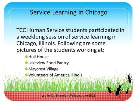 Service Learning in Chicago TCC Human Service students participated in a weeklong session of service learning in Chicago, Illinois. Following are some.