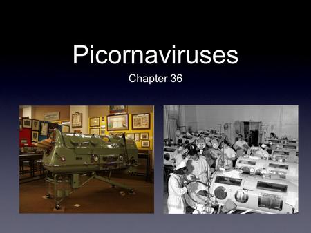 Picornaviruses Chapter 36. Properties Structure and composition 30 nm, icosahedral plus-strand RNA, 7.2-8.4 kb RNA is polyadenylated Ten genes, eleven.