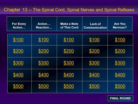 Chapter 13 – The Spinal Cord, Spinal Nerves and Spinal Reflexes