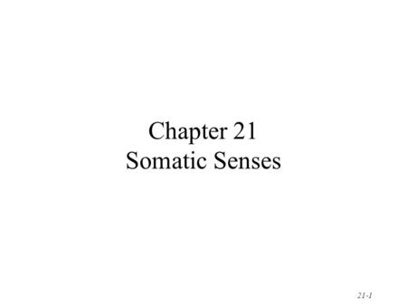 Chapter 21 Somatic Senses