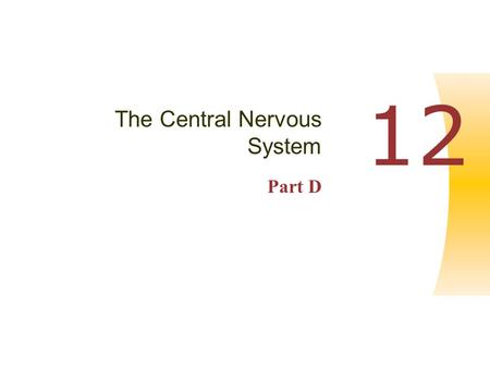 Copyright © 2004 Pearson Education, Inc., publishing as Benjamin Cummings Human Anatomy & Physiology, Sixth Edition Elaine N. Marieb PowerPoint ® Lecture.