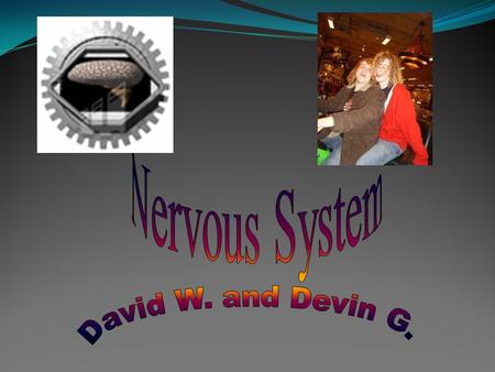 It’s the major control unit of the body. It controls your thinking, memory, and you learning. It detects changes in the body. Controls all muscle activities.