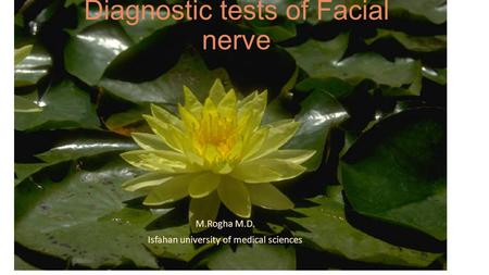 Diagnostic tests of Facial nerve