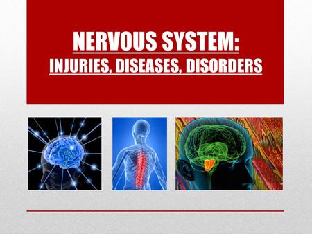 NERVOUS SYSTEM: INJURIES, DISEASES, DISORDERS. Damages to the Reflex Arc & Spinal Cord Injuries  _______, __________ or ______ reflex responses indicate.