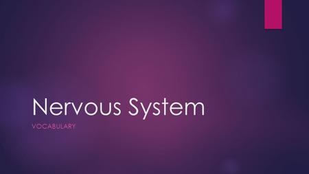 Nervous System VOCABULARY. Vocabulary  Afferent  Autonomic Nervous System  Cerebral Spinal Fluid  Conductivity  Congenital  Efferent  Equilibrium.