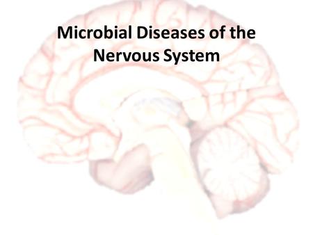 Microbial Diseases of the Nervous System