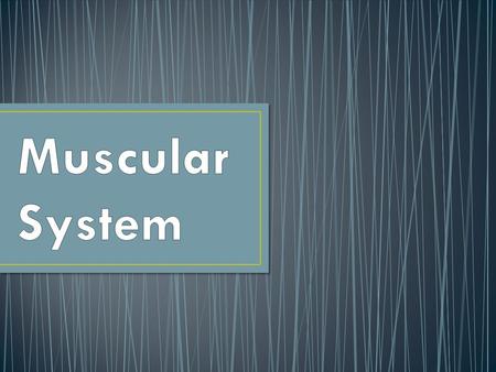 Muscular System.