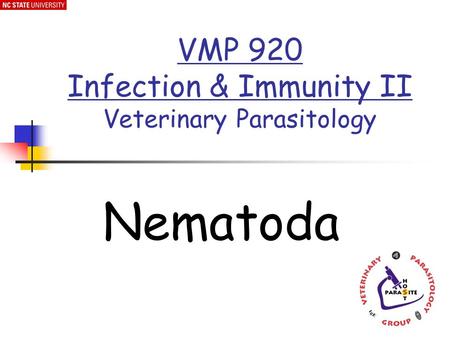 Nematoda VMP 920 Infection & Immunity II Veterinary Parasitology.