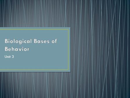 Biological Bases of Behavior