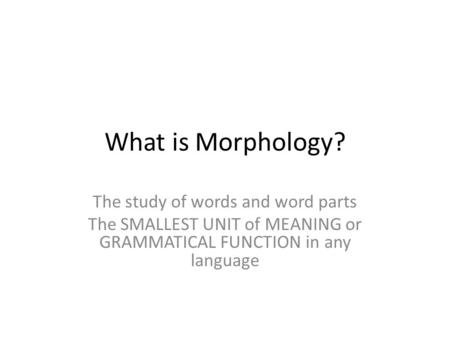 What is Morphology? The study of words and word parts