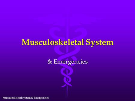 Musculoskeletal System