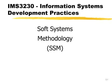 IMS Information Systems Development Practices