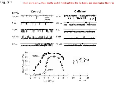-20020 Vm, mV 10 nM 100 nM 1 mM [Ca 2+ ] cyt Control 100 nM 1 µM 5 µM 100 µM 2 mM 50 mM Control Open Probability (Po) 0.6 0.4 0.2 0.0 0.8 1.0 -7-6-5-4-8.