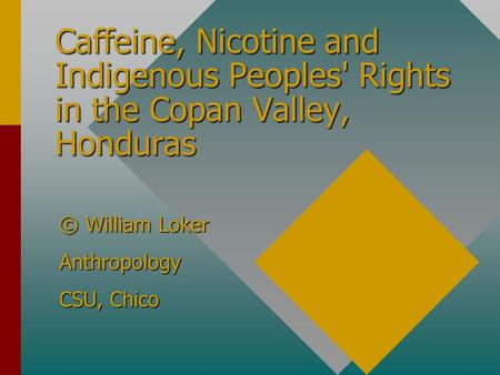 Caffeine, Nicotine and Indigenous Peoples' Rights in the Copan Valley, Honduras © William Loker Anthropology CSU, Chico.