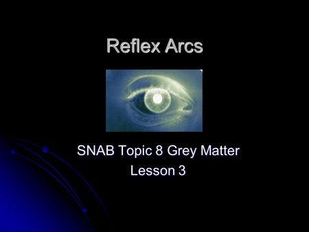 Reflex Arcs SNAB Topic 8 Grey Matter Lesson 3. Learning Objectives Describe the path of nerve impulses in reflex arcs Describe the path of nerve impulses.