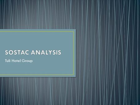 SOSTAC ANALYSIS Tuli Hotel Group.