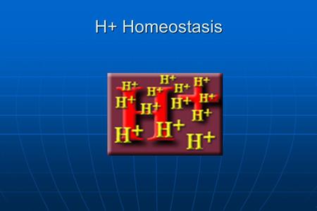 H+ Homeostasis. H+ homeostasis Why is it so important? Why is it so important? Organ functionOrgan function Cellular functionCellular function Enzyme.