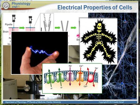 Department of Physiology, 2 nd Faculty of Medicine, Charles University Copyright © 2013 Ludek Nerad Electrical Properties of Cells Physiology page 1.