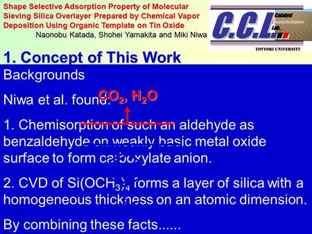 Shape Selective Adsorption Property of Molecular Sieving Silica Overlayer Prepared by Chemical Vapor Deposition Using Organic Template on Tin Oxide Naonobu.