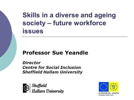 Skills in a diverse and ageing society – future workforce issues Professor Sue Yeandle Director Centre for Social Inclusion Sheffield Hallam University.