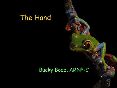 The Hand Bucky Boaz, ARNP-C.