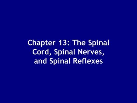 Chapter 13: The Spinal Cord, Spinal Nerves, and Spinal Reflexes