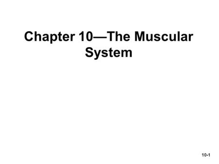 Chapter 10—The Muscular System