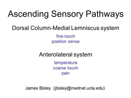 Ascending Sensory Pathways