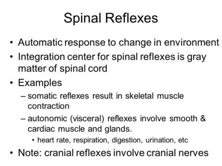 Spinal Reflexes Automatic response to change in environment