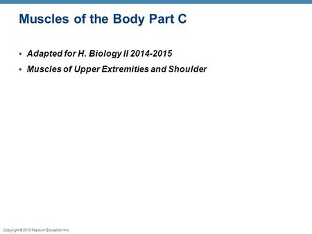 Muscles of the Body Part C