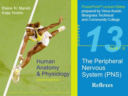 Copyright © 2006 Pearson Education, Inc., publishing as Benjamin Cummings Human Anatomy & Physiology SEVENTH EDITION Elaine N. Marieb Katja Hoehn PowerPoint.