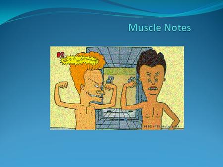 Muscle Notes.